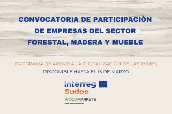  WOODMARKETS laguntza tekniko eta finantzarioko programaren deialdia