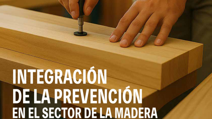 Zurgintzan laneko arriskuen prebentzioa integratzea