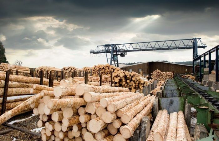 Encuentro de empresas: industria de la madera de Bizkaia 