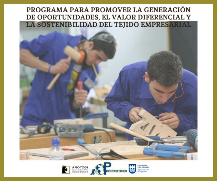 RELEVO GENERACIONAL EN EL SECTOR DE LA MADERA
